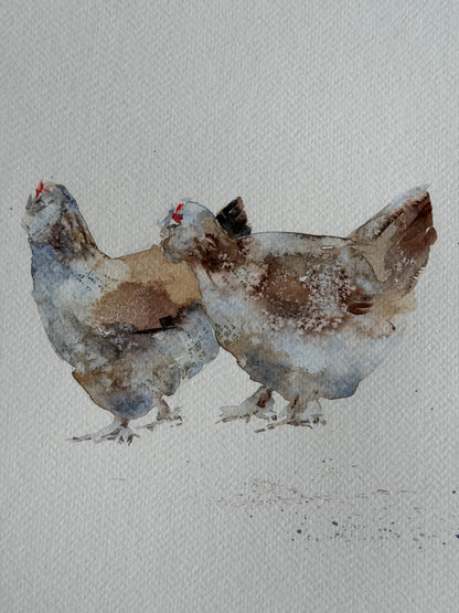 Seven  Hens, One Headache