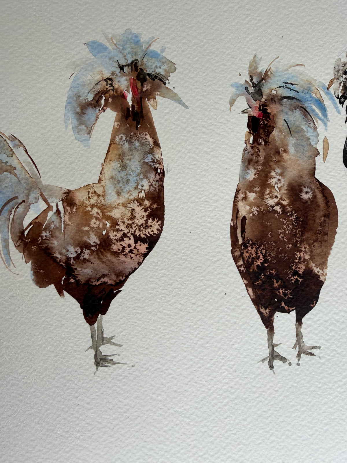 Ten Hens, Zero Visibility