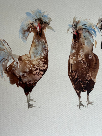 Ten Hens, Zero Visibility