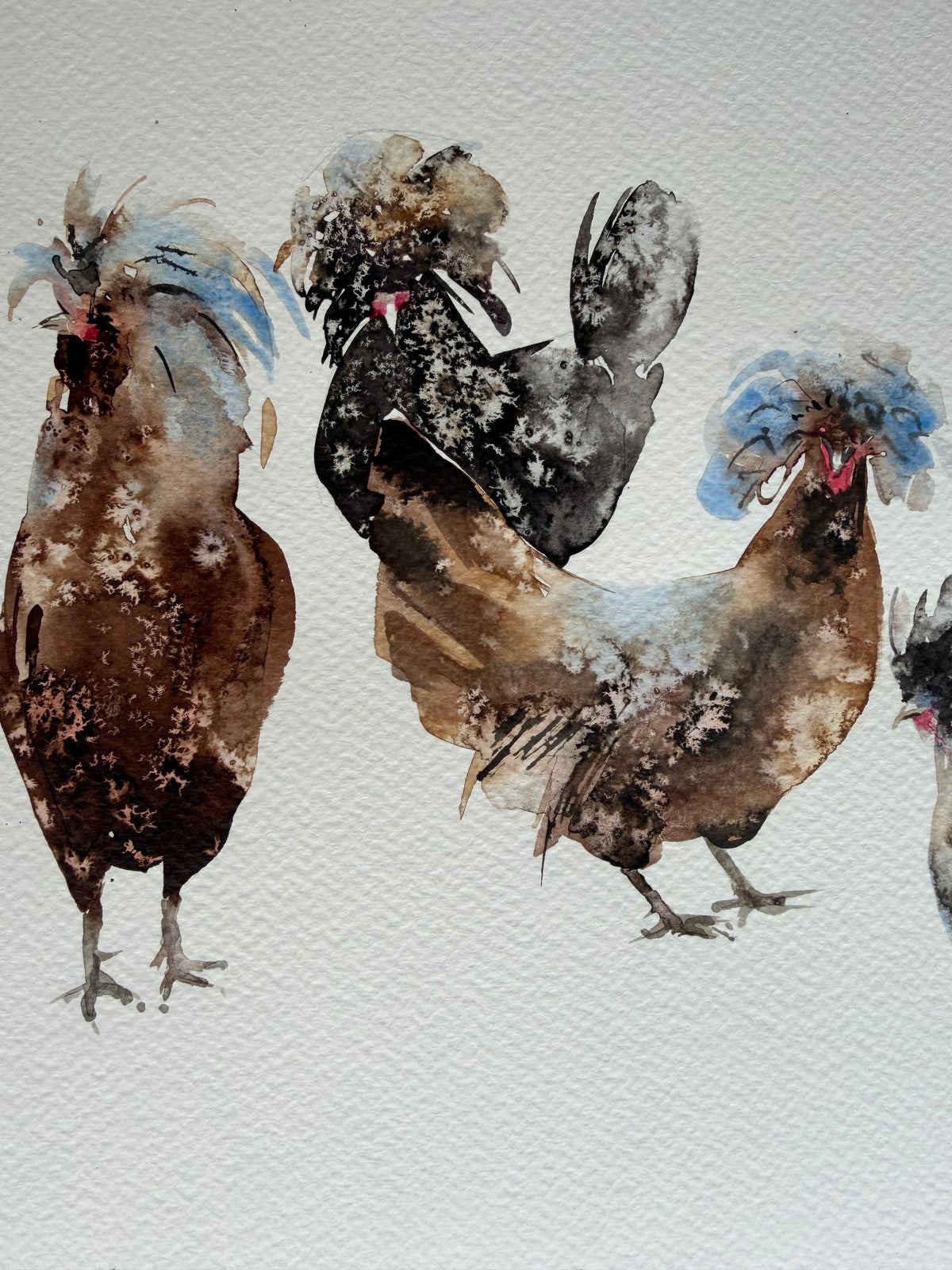 Ten Hens, Zero Visibility