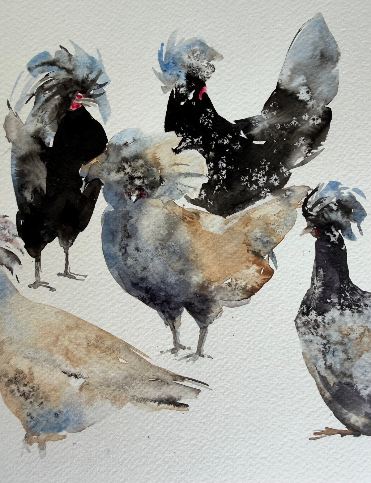 Ten Hens, Zero Visibility