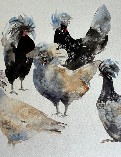 Ten Hens, Zero Visibility