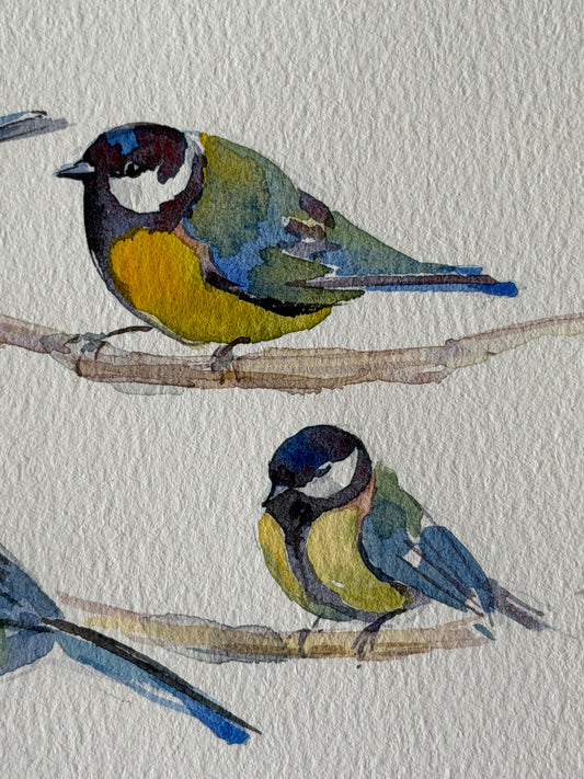 Four Chubby Tits
