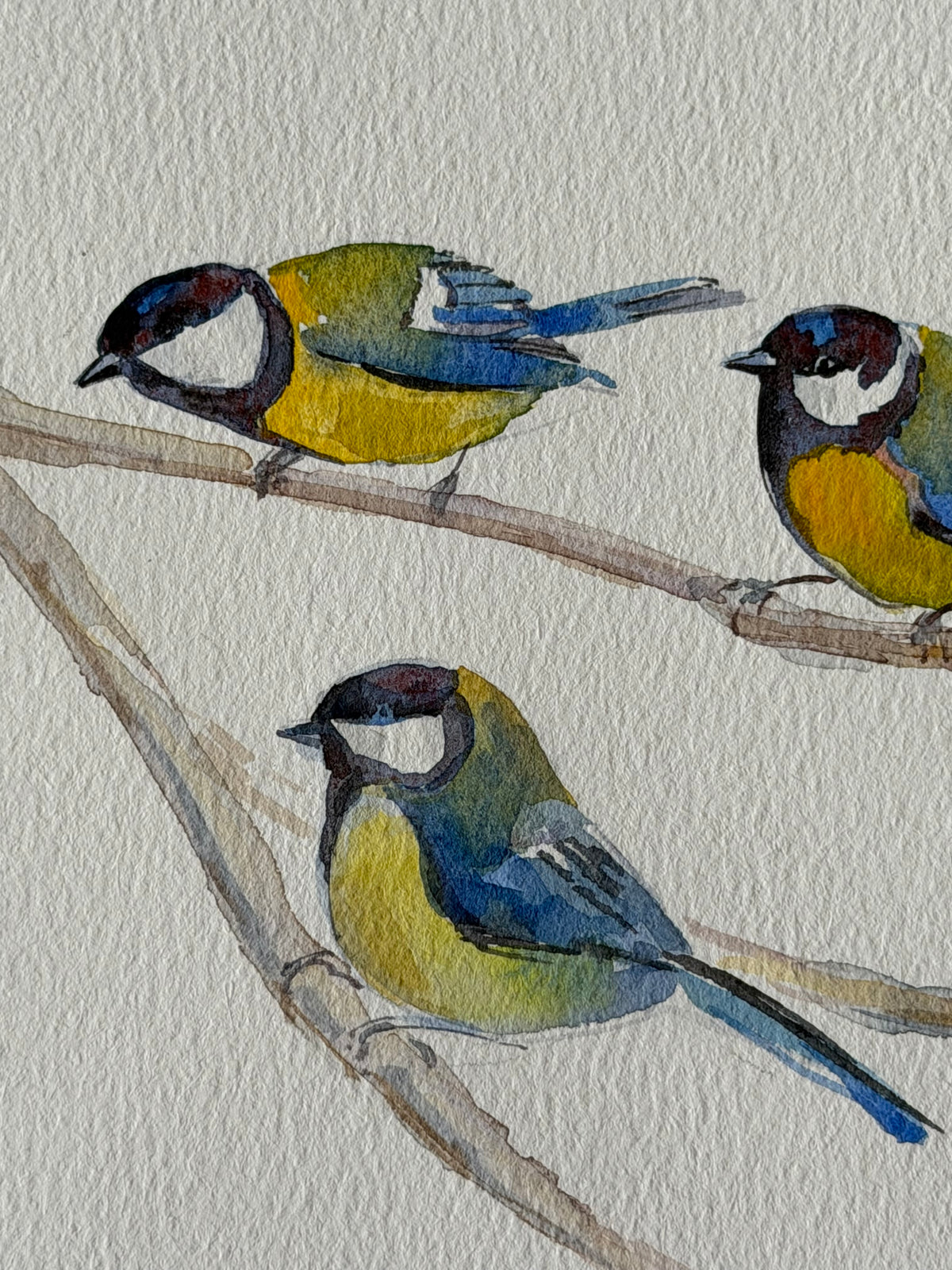 Four Chubby Tits