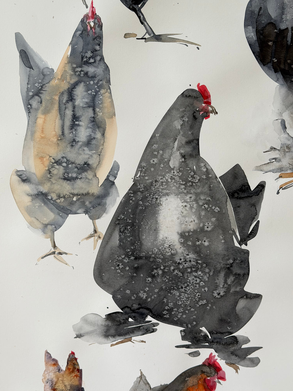 A Flock of Personalities