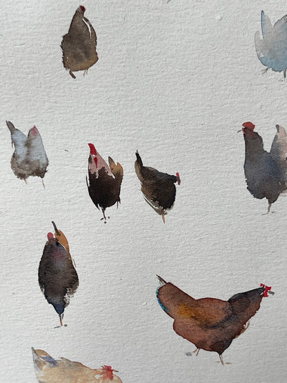 Hen Companions