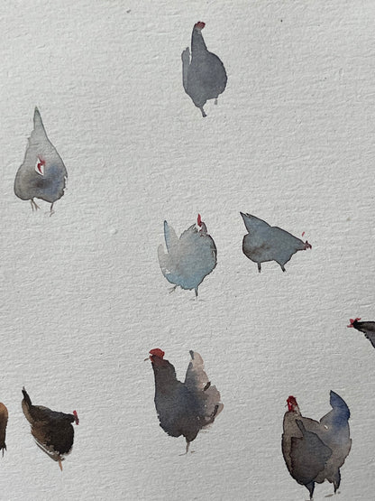 Hen Companions
