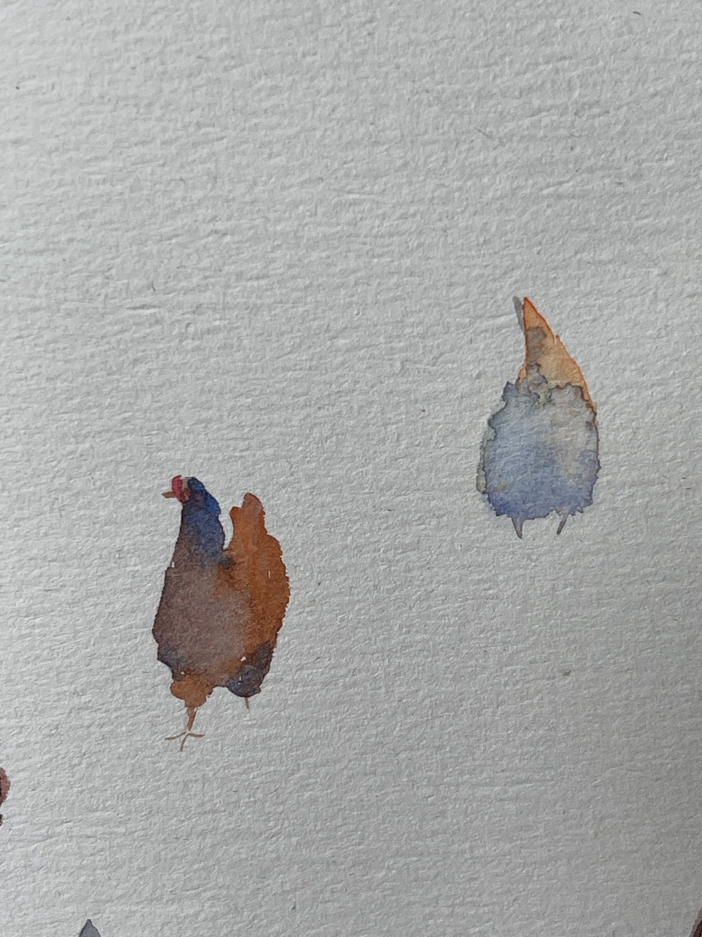 Hen Companions