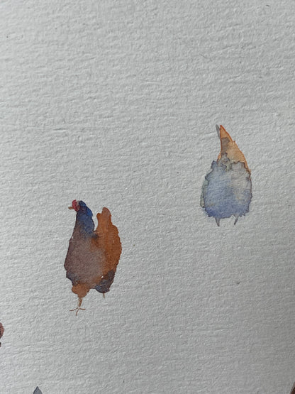 Hen Companions