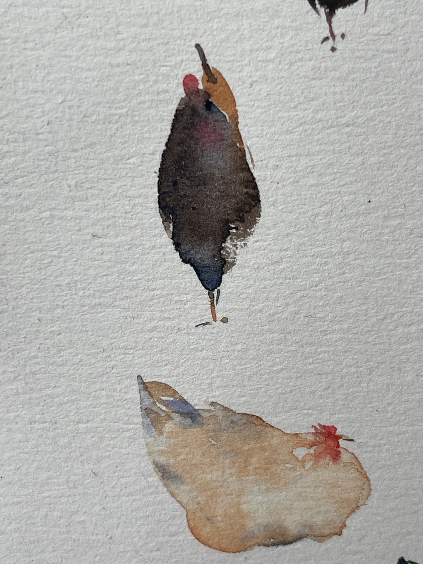 Hen Companions