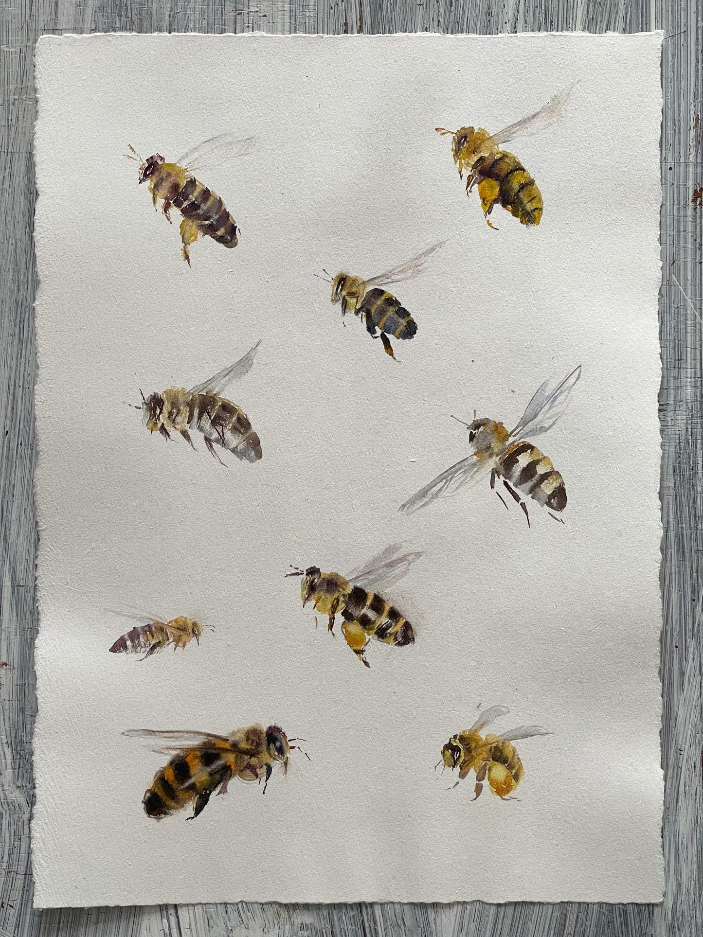 Many Bees