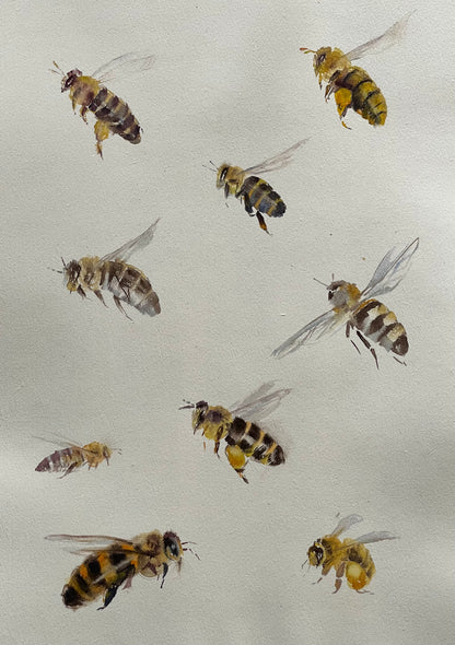Many Bees