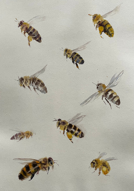 Many Bees