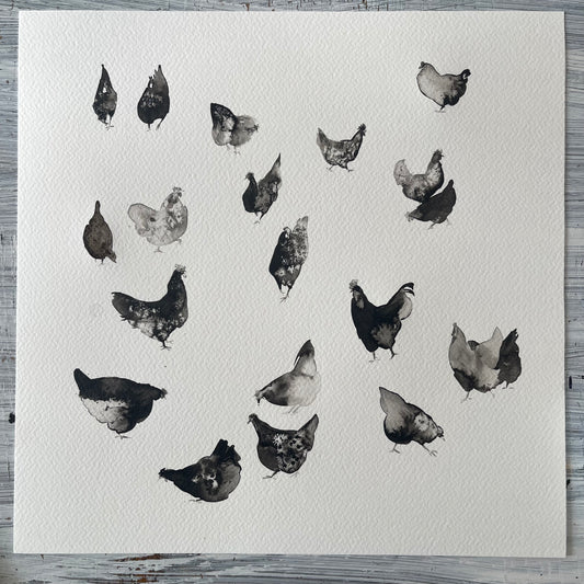 Black & Spotted Chickens