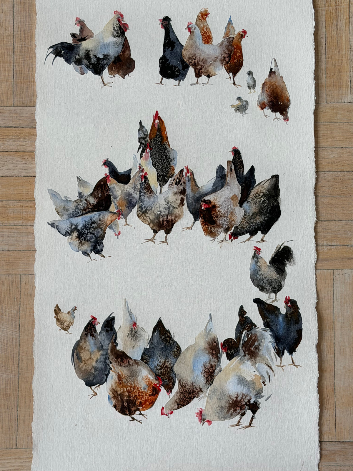 Chicken Bazaar