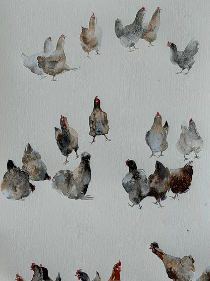 Chicken Bazaar