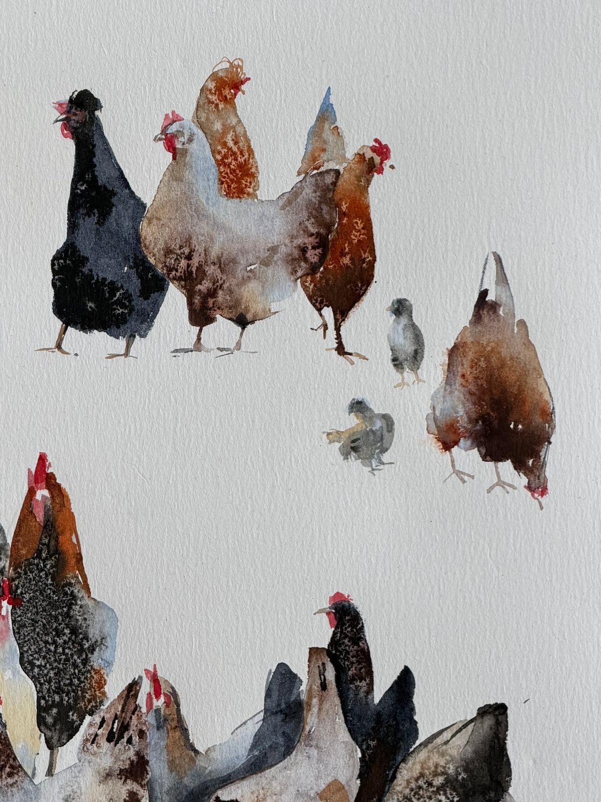 Chicken Bazaar
