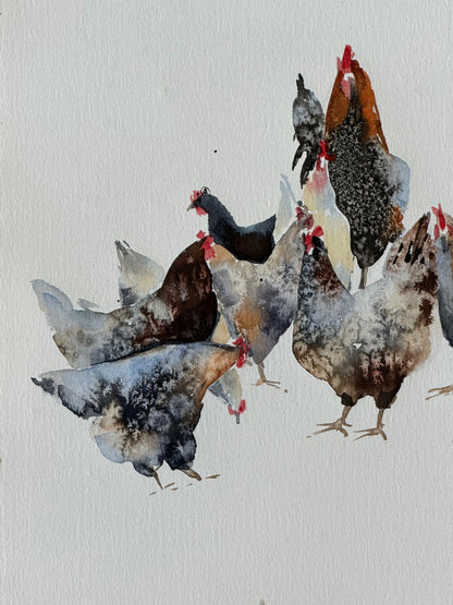 Chicken Bazaar
