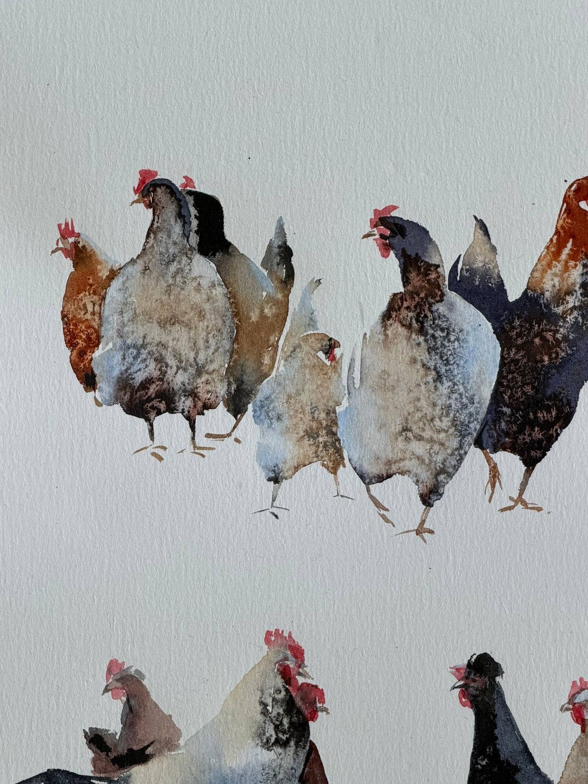 Chicken Bazaar
