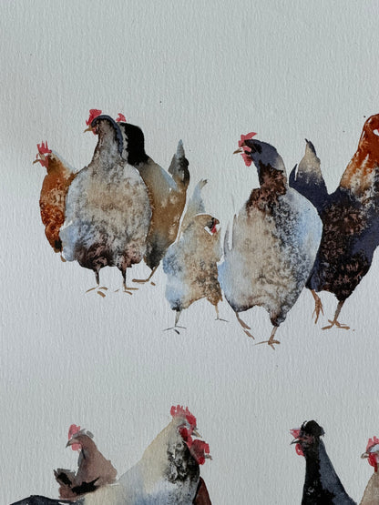 Chicken Bazaar