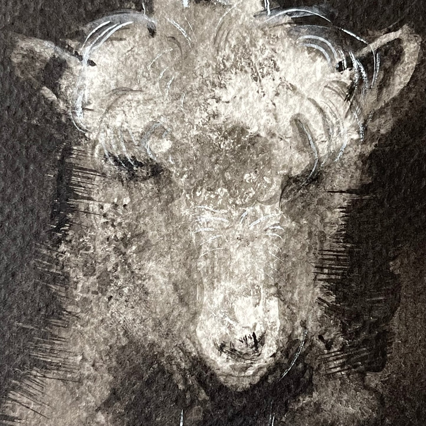 Three Goats in a Row Peeking from the Barn