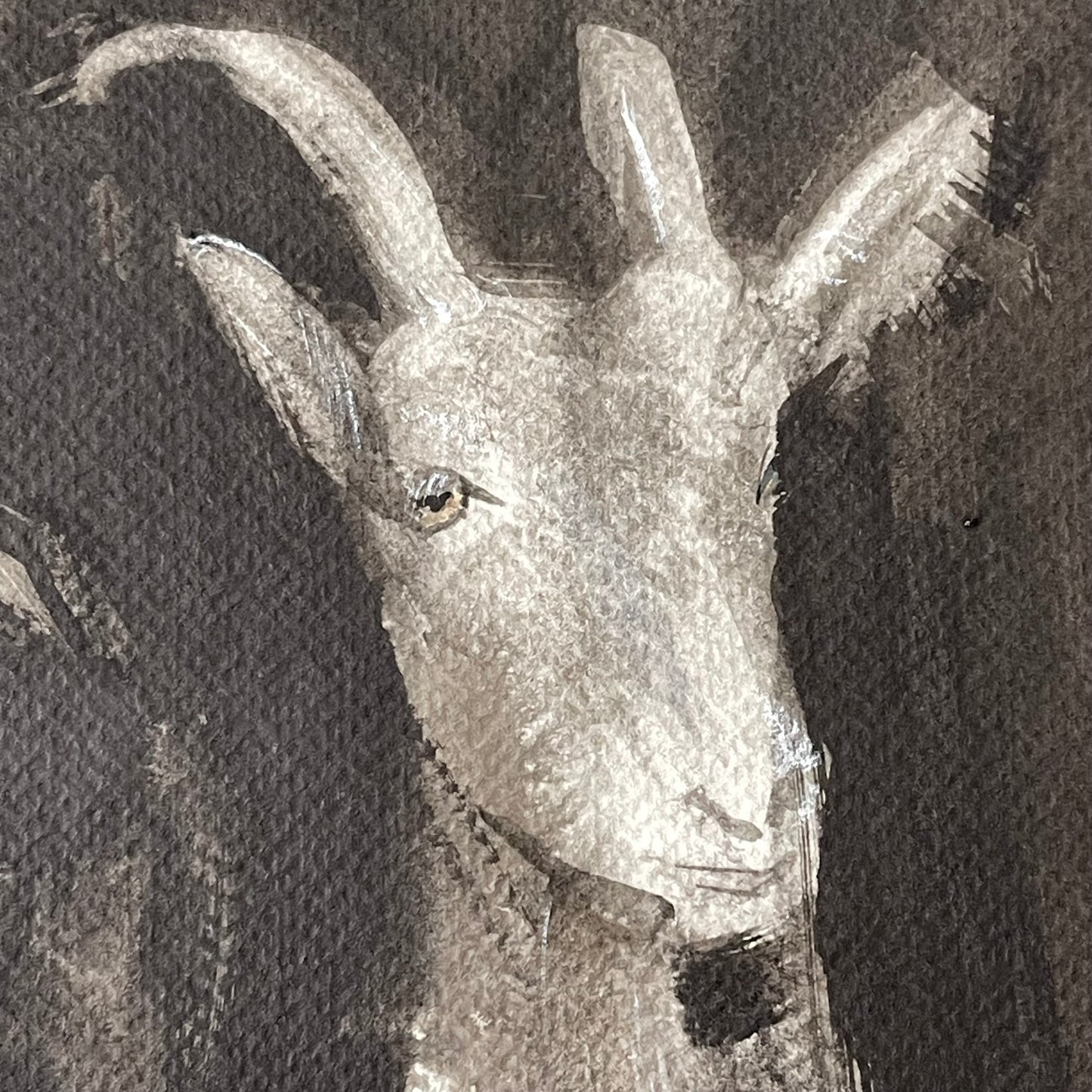 Three Goats in a Row Peeking from the Barn