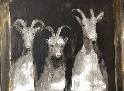 Three Goats in a Row Peeking from the Barn