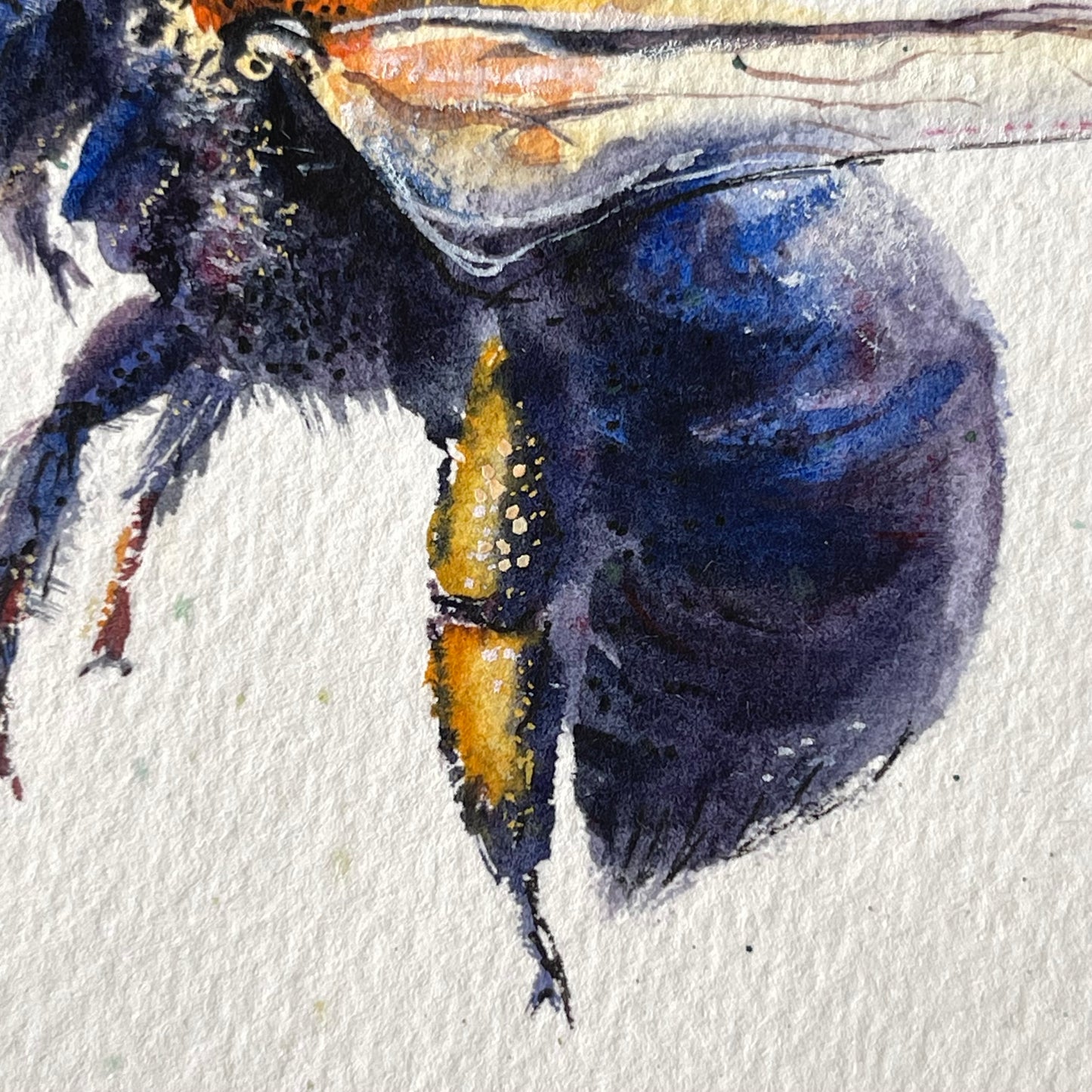 Bee in Flight