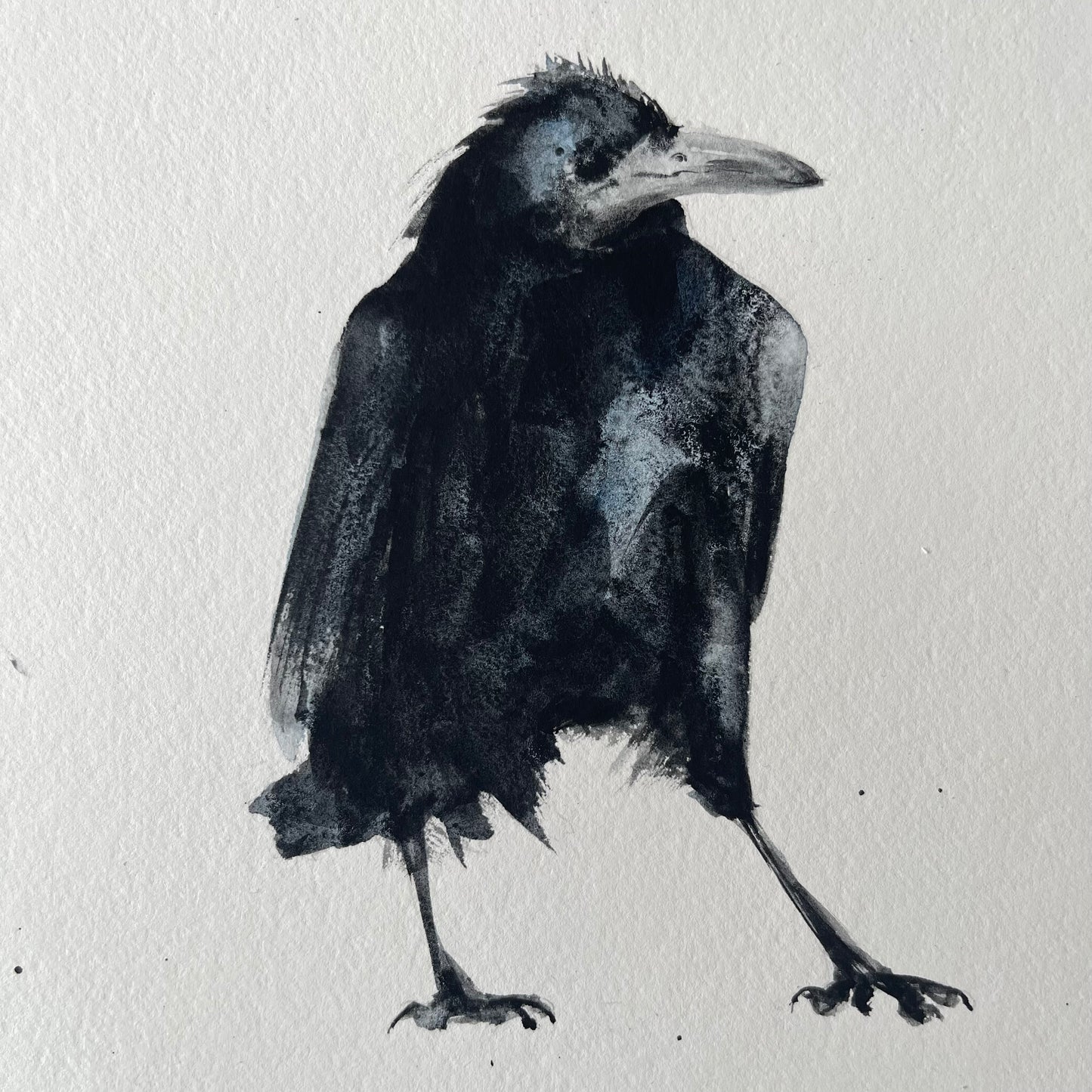 Crow