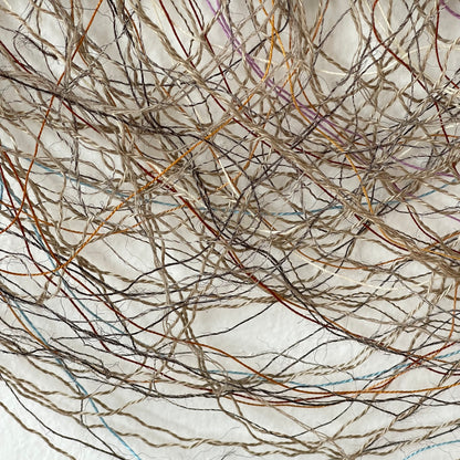 Flight Toward a Dream