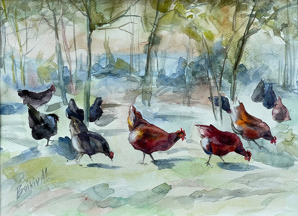 A Day in the Garden with Chickens