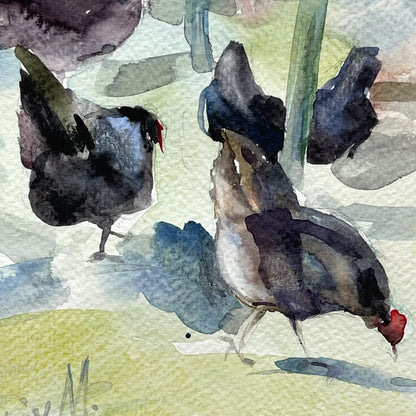 A Day in the Garden with Chickens