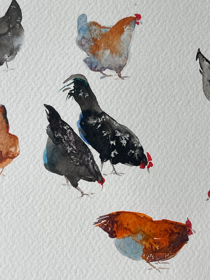 Chickens — The 62