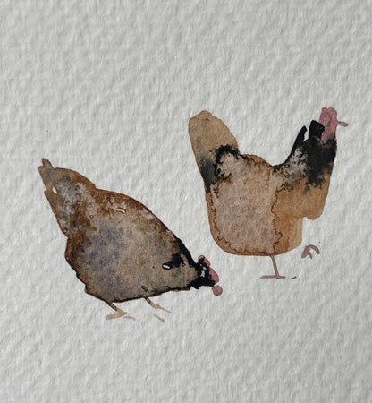 Chickens — The 62