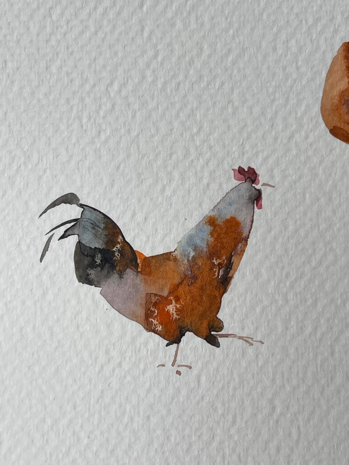 Chickens — The 62