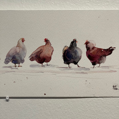 Rainbow Flock of Eight Hens
