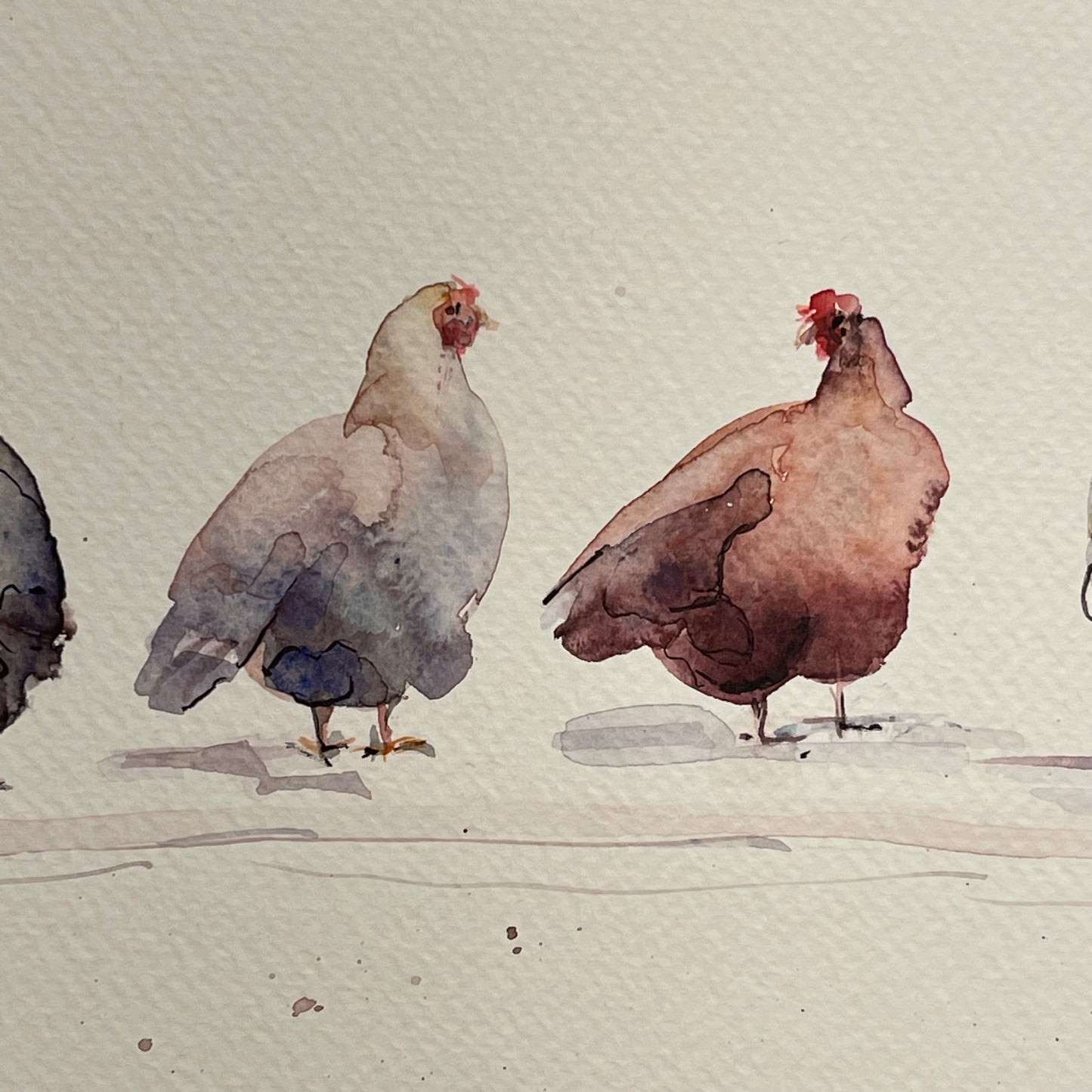 Rainbow Flock of Eight Hens