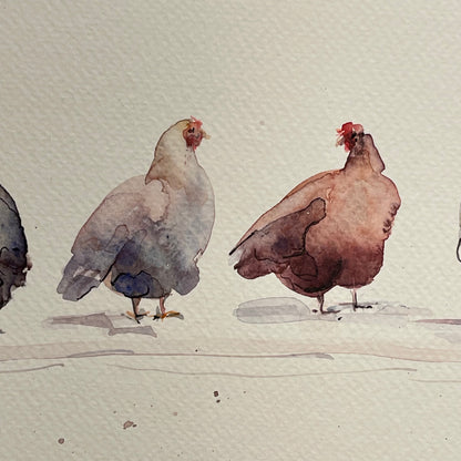 Rainbow Flock of Eight Hens