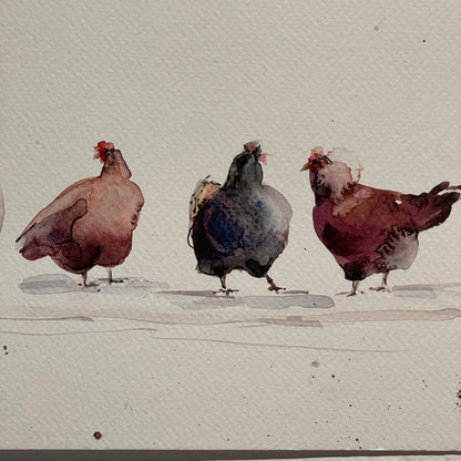 Rainbow Flock of Eight Hens