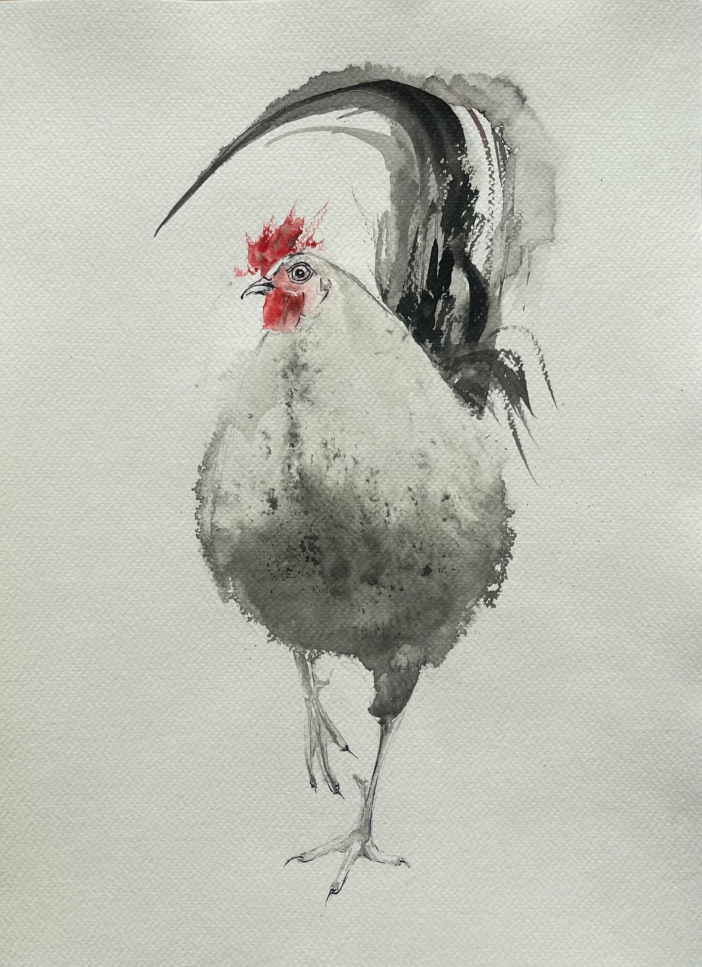 Rooster No. 2