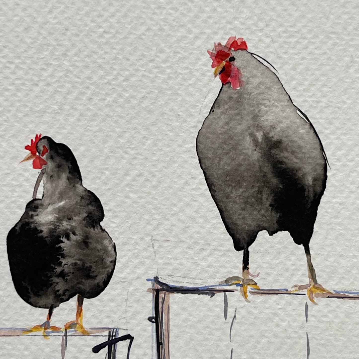 Chickens On A Fence.