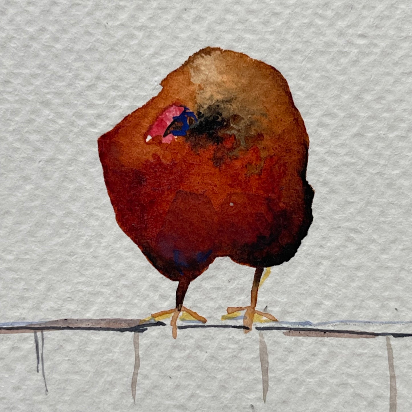 Chickens On A Fence.