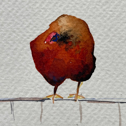 Chickens On A Fence.