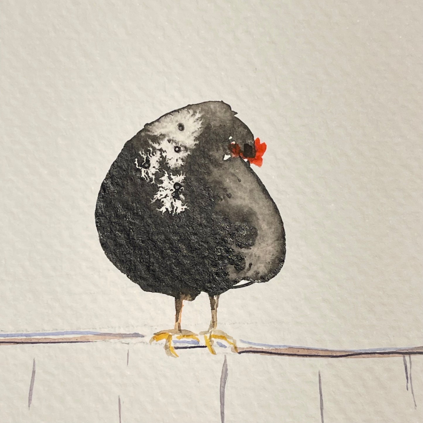Chickens On A Fence.