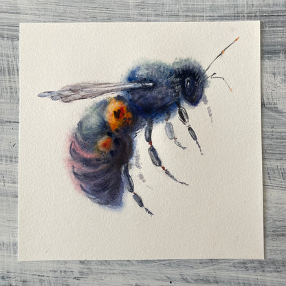 Blue Bee