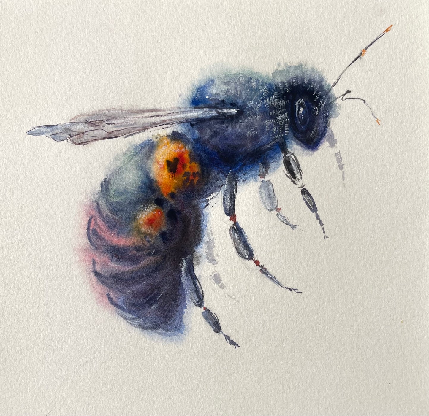 Blue Bee