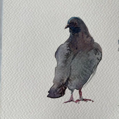 Urban Doves