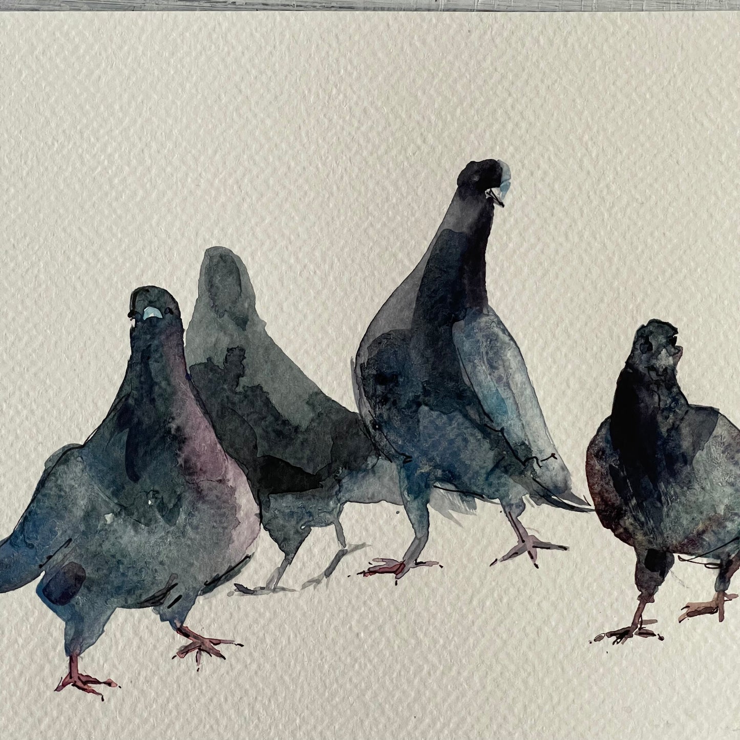 Urban Doves