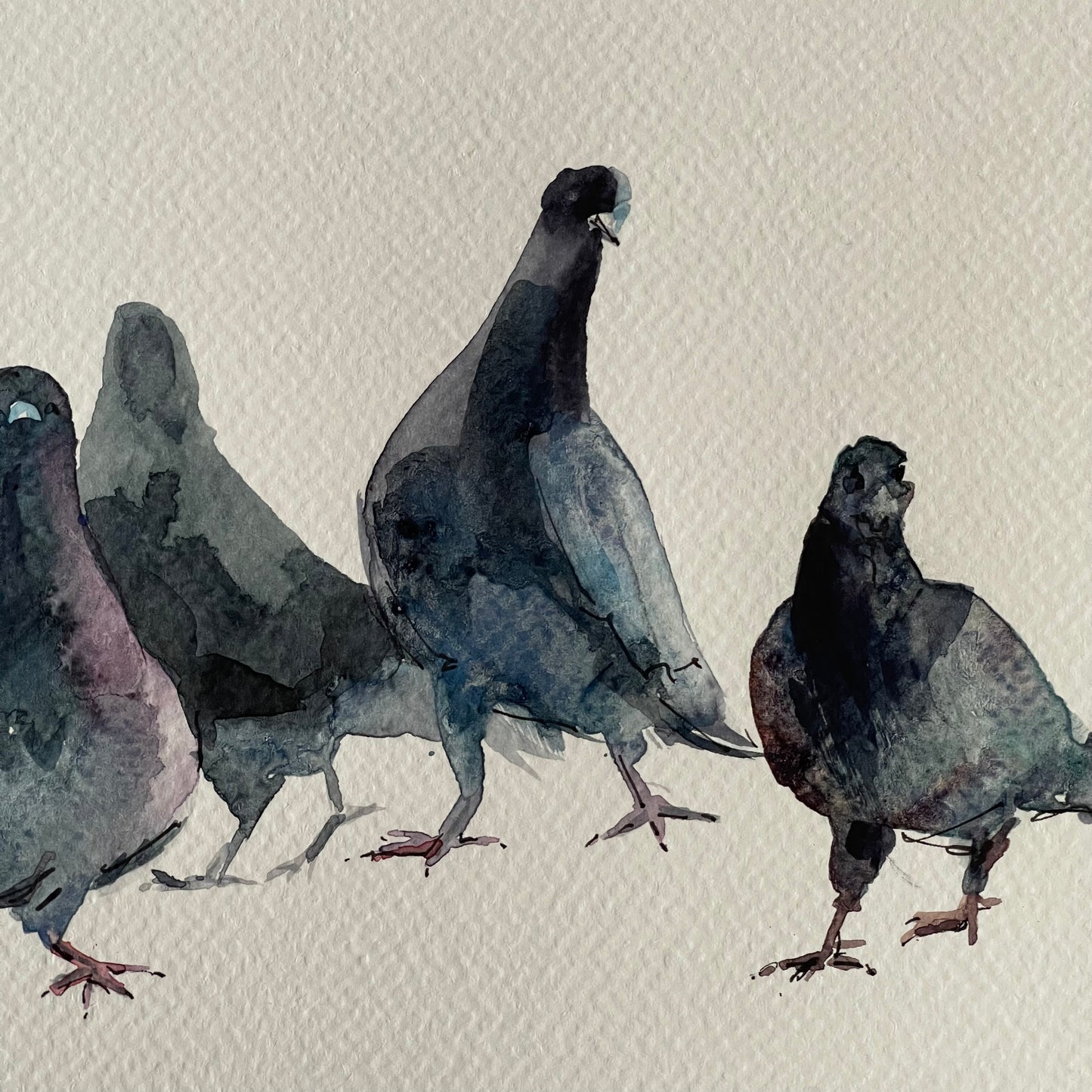 Urban Doves