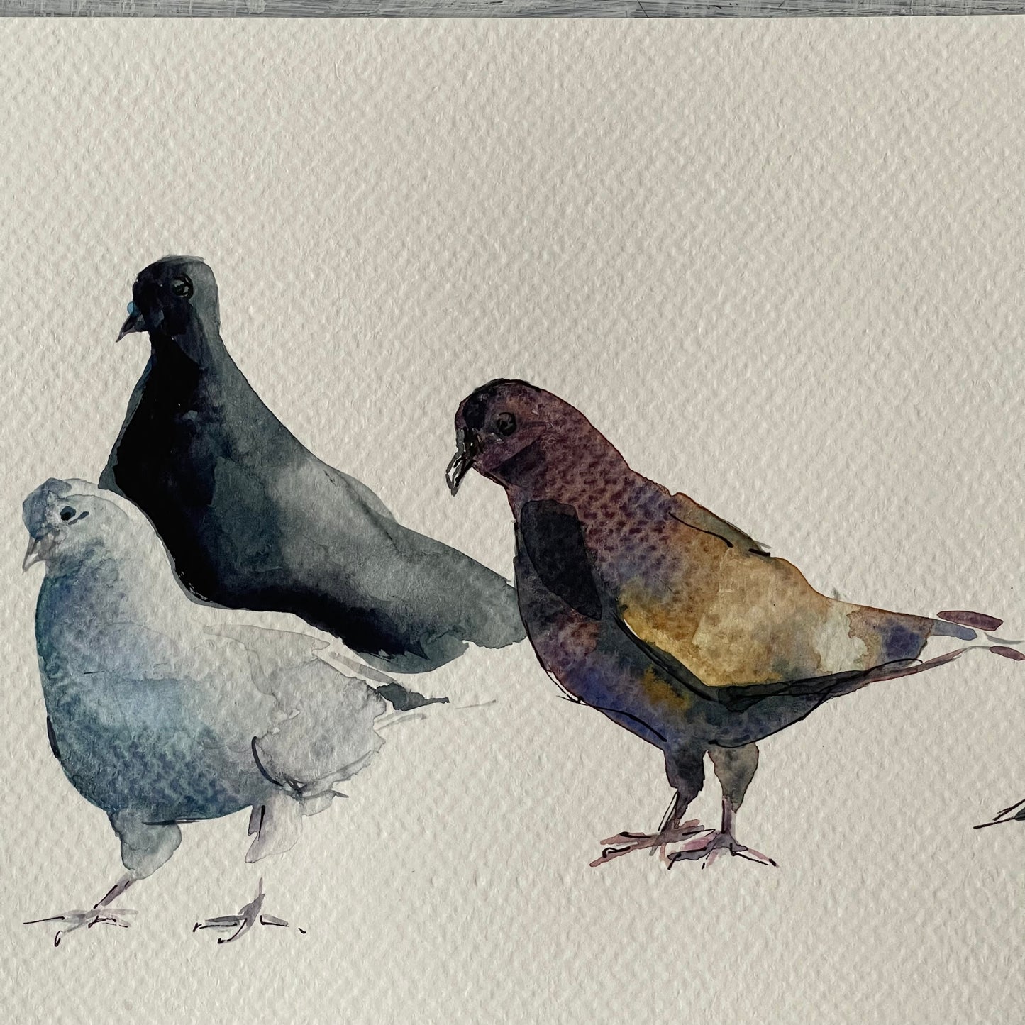 Urban Doves